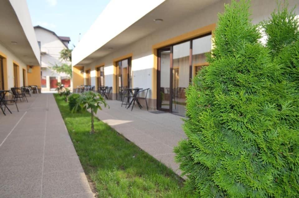 Pensiunea Savas Costinești Exterior foto
